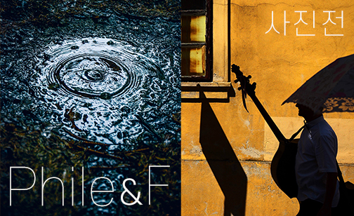 해당파일이미지